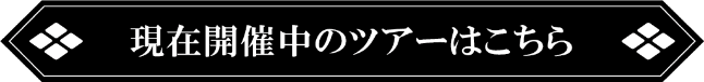 現在開催中のツアーはこちら